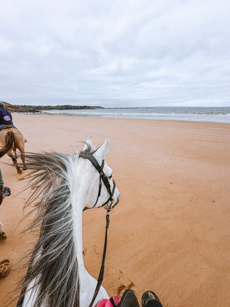 Balade à cheval sur la plage de Beg Léguer à Lannion Bretagne