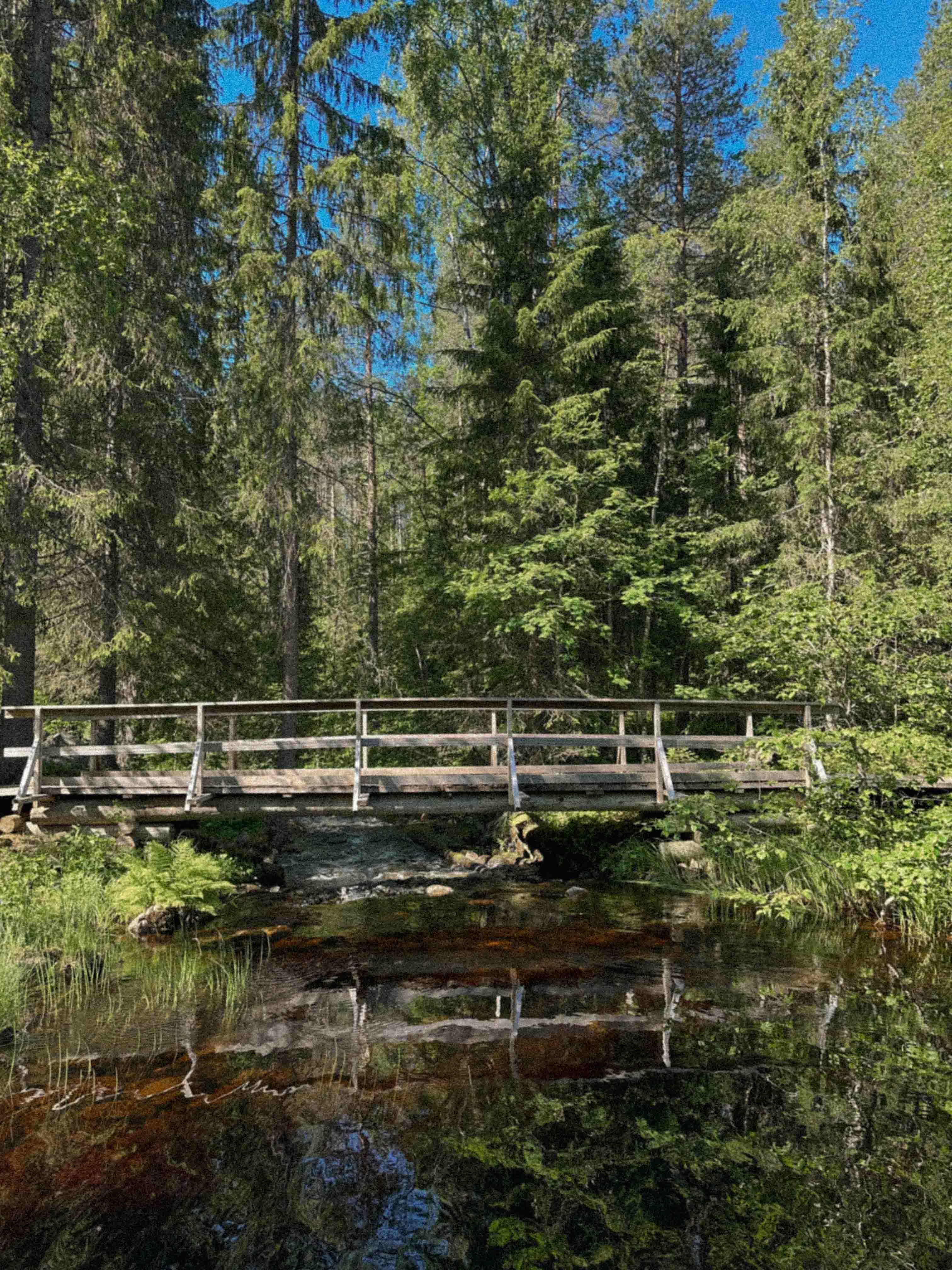 Pont au départ du lac Julma-Ölkky