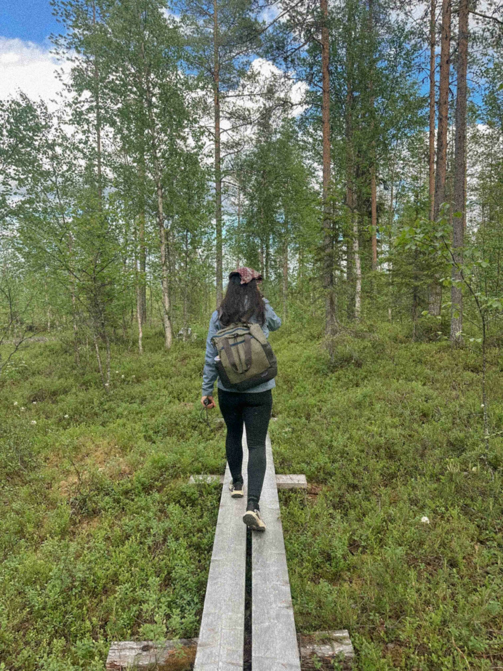 Chemin randonnée falaises de Ristikallio
