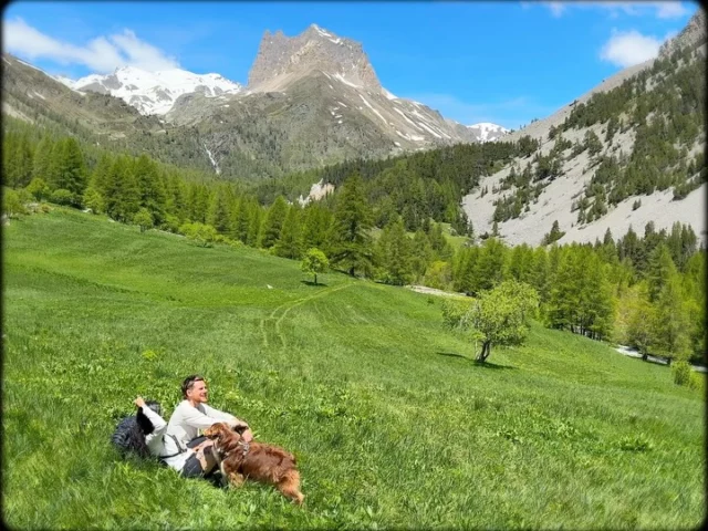 💌 cartes postales d’un bout de printemps dans les alpes  on se retrouve sur ma chaîne YT pour plus d’aventures calmes en nature 🌲✨  #alpes #dailyvlog #postcard #outdoor #montagne #cabinlife #granolagirl